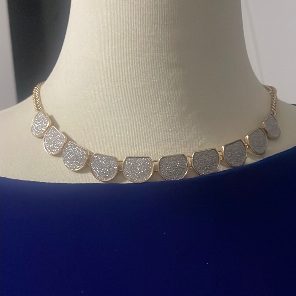 Elegant Silver and Gold Necklace